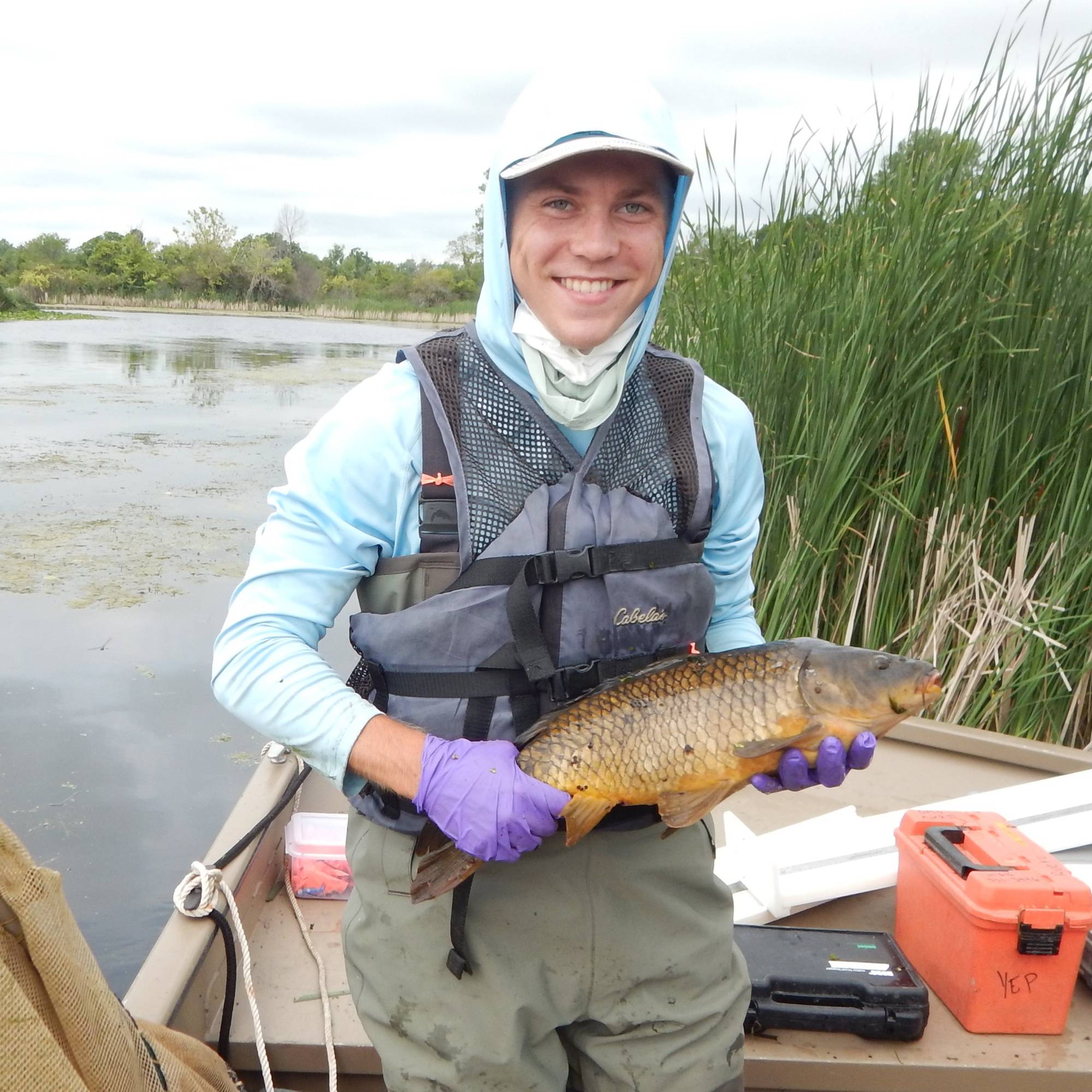 a student holds a common carp in a coastal wetland